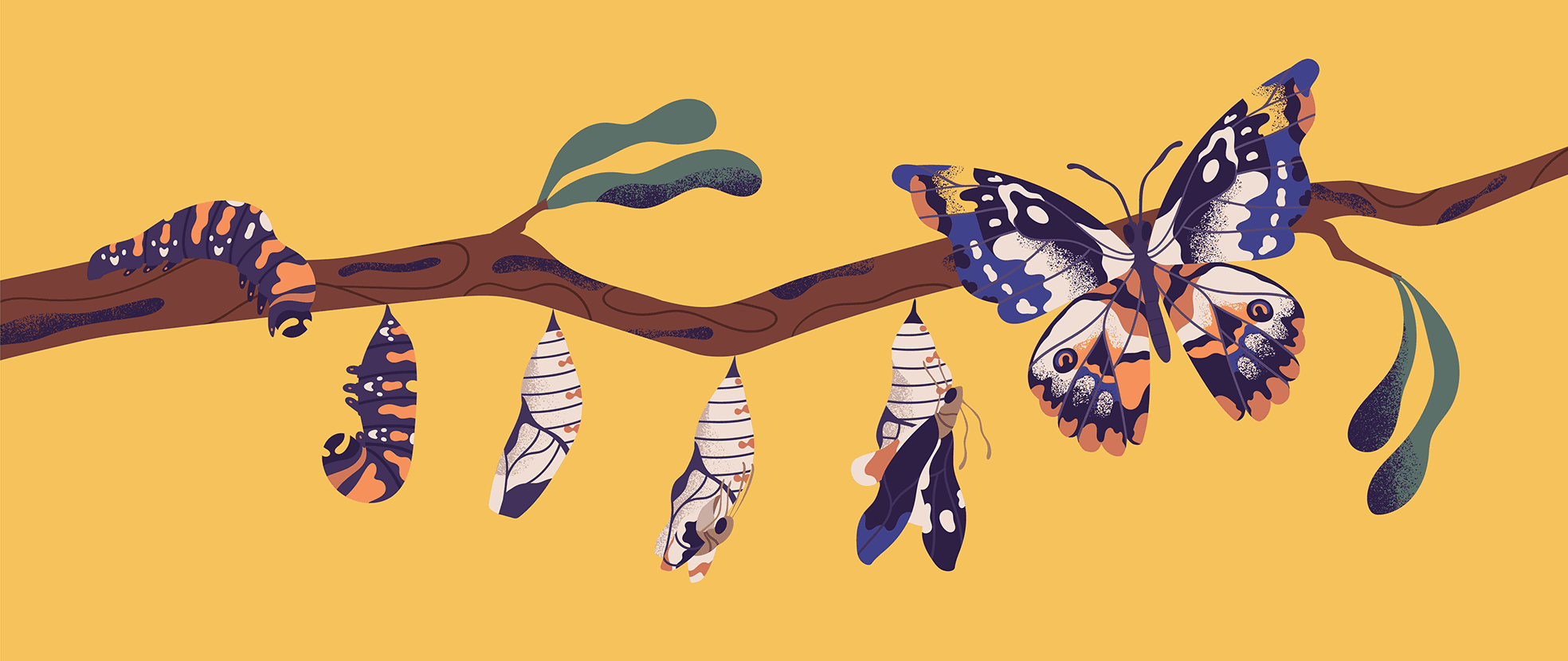 On a bright yellow background, a caterpillar crawls along a tree branch and turns into a cocoon and emerges a butterfly, similar to a business transforms